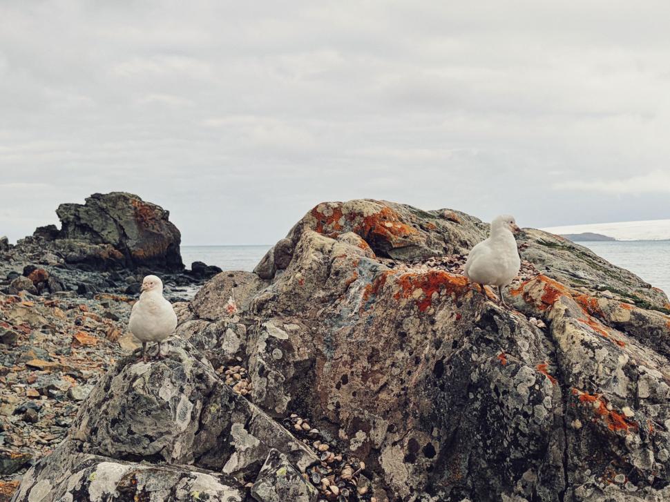 Nu avem stație în Antarctica. Dar avem cercetători care ajung acolo: „Asta e ceva ce ți se întâmplă o singură dată în viață” 1049840