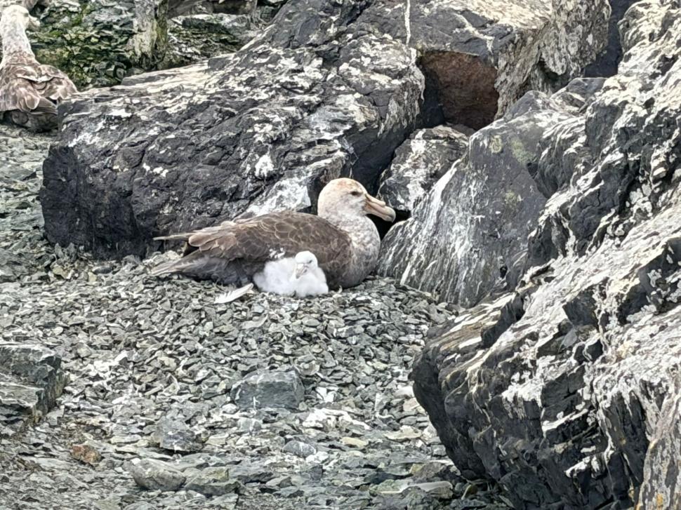 Nu avem stație în Antarctica. Dar avem cercetători care ajung acolo: „Asta e ceva ce ți se întâmplă o singură dată în viață” 1049842