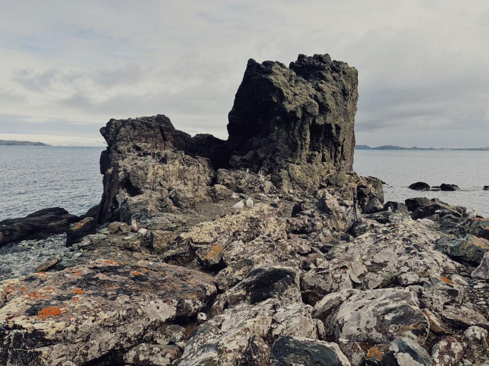 Nu avem stație în Antarctica. Dar avem cercetători care ajung acolo: „Asta e ceva ce ți se întâmplă o singură dată în viață” 1049846