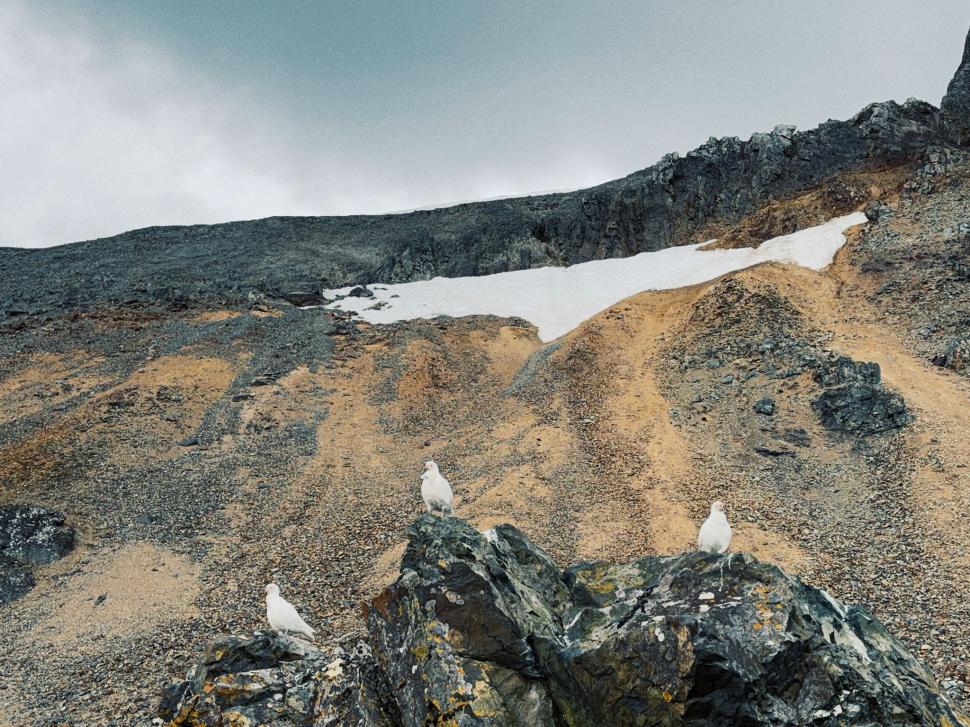 Nu avem stație în Antarctica. Dar avem cercetători care ajung acolo: „Asta e ceva ce ți se întâmplă o singură dată în viață” 1049851
