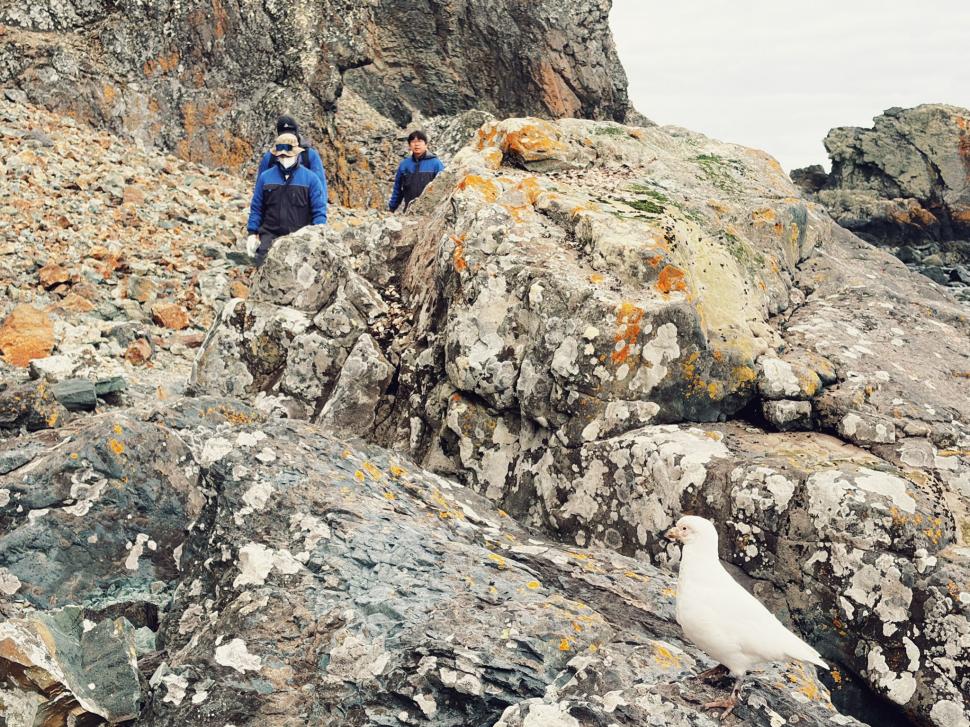 Nu avem stație în Antarctica. Dar avem cercetători care ajung acolo: „Asta e ceva ce ți se întâmplă o singură dată în viață” 1049858