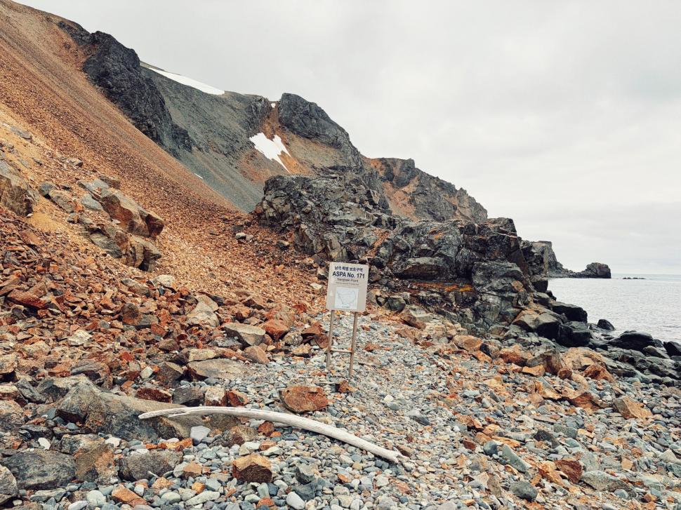 Nu avem stație în Antarctica. Dar avem cercetători care ajung acolo: „Asta e ceva ce ți se întâmplă o singură dată în viață” 1049859