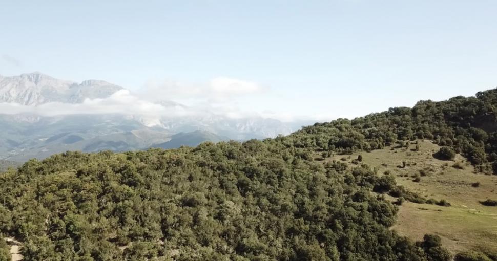 Un sat întreg din Spania se vinde la reduceri, cu 380.000 de euro. Are 10 case, un schit și o poveste interesantă 1049617