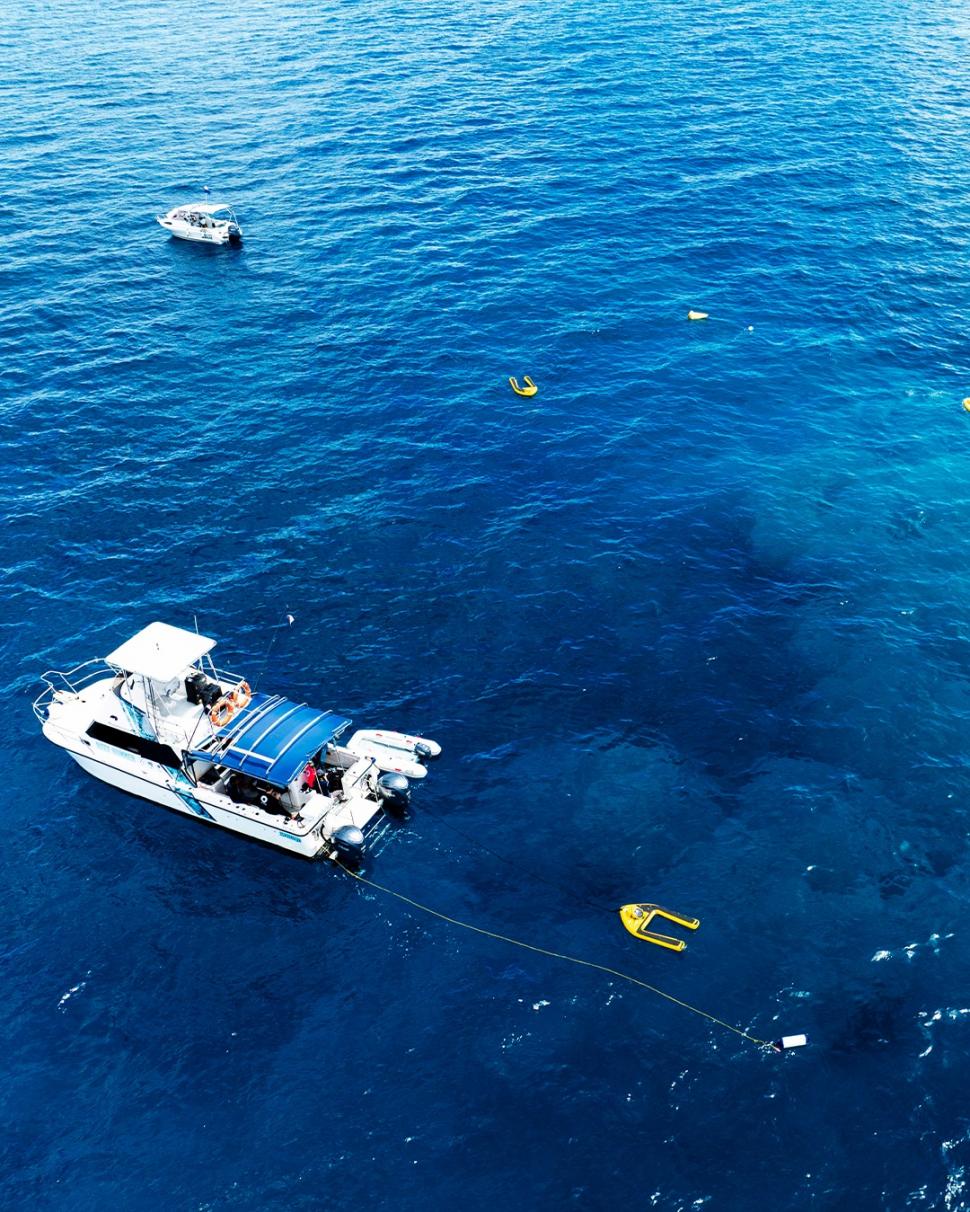 Descoperire impresionantă pe Marea Barieră de Corali: O echipă de cercetători amatori a găsit cea mai mare colonie de corali din lume 1048944