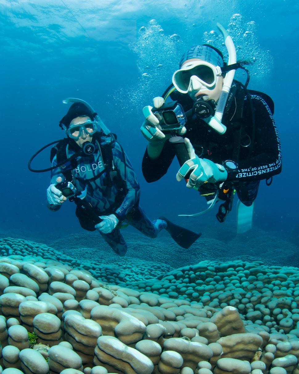 Descoperire impresionantă pe Marea Barieră de Corali: O echipă de cercetători amatori a găsit cea mai mare colonie de corali din lume 1048947