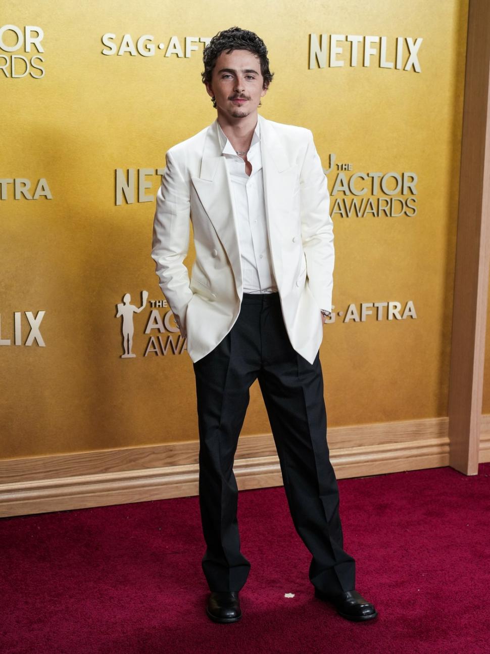 Cele mai spectaculoase ținute de pe covorul roșu de la Actor Awards 2026. Gala a avut un cod vestimentar tematic  1050231