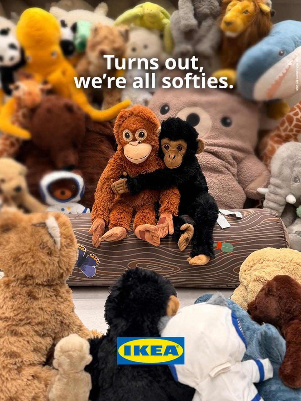 Maimuțica Punch începe să-l uite pe urangutanul de pluș de la Ikea: „Învață regulile societății maimuțelor” 1051163