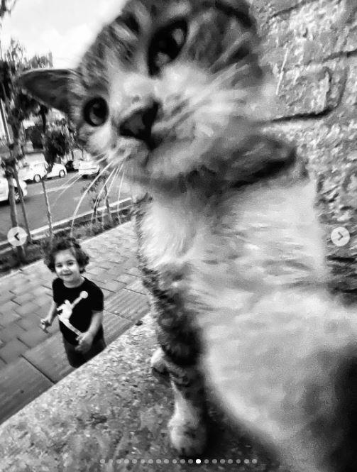 Un fotograf iranian surprinde viața pisicilor fără stăpân din Teheran cu un telefon, iar imaginile emoţionante devin instant virale 1051515