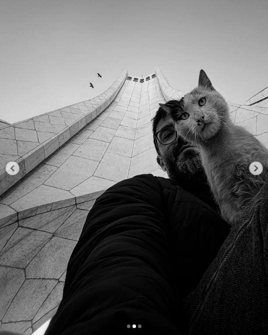 Un fotograf iranian surprinde viața pisicilor fără stăpân din Teheran cu un telefon, iar imaginile emoţionante devin instant virale 1051525