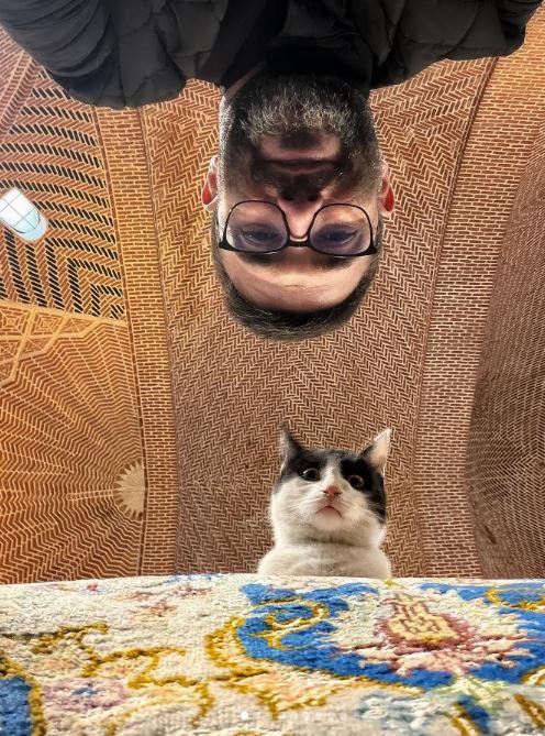 Un fotograf iranian surprinde viața pisicilor fără stăpân din Teheran cu un telefon, iar imaginile emoţionante devin instant virale 1051527