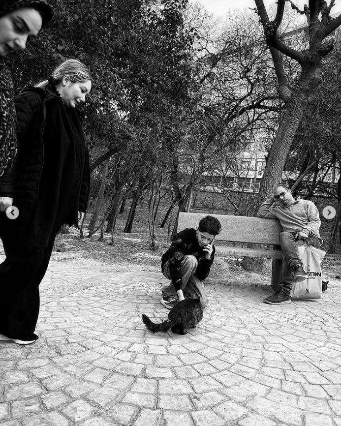 Un fotograf iranian surprinde viața pisicilor fără stăpân din Teheran cu un telefon, iar imaginile emoţionante devin instant virale 1051534