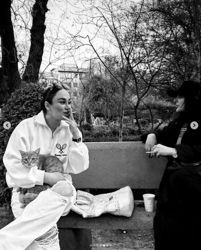 Un fotograf iranian surprinde viața pisicilor fără stăpân din Teheran cu un telefon, iar imaginile emoţionante devin instant virale 1051535