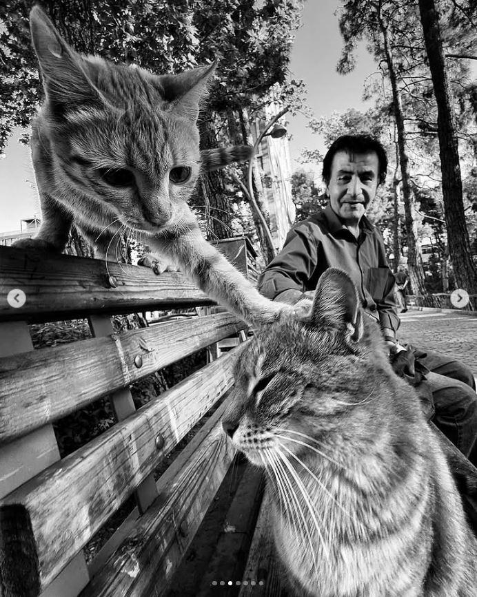 Un fotograf iranian surprinde viața pisicilor fără stăpân din Teheran cu un telefon, iar imaginile emoţionante devin instant virale 1051545