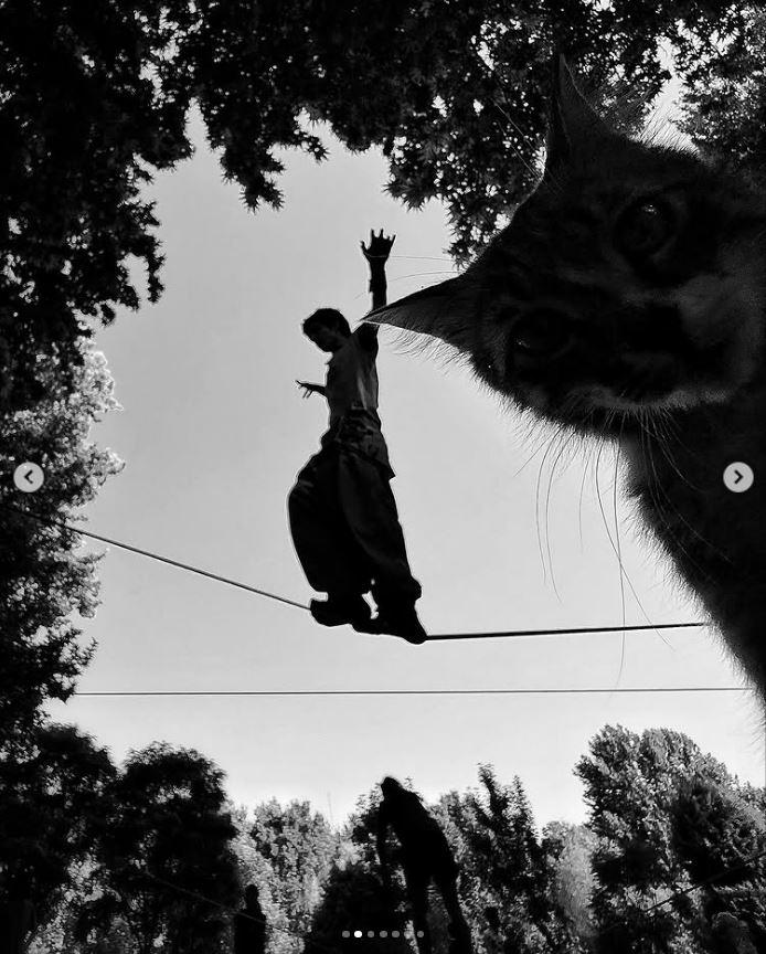 Un fotograf iranian surprinde viața pisicilor fără stăpân din Teheran cu un telefon, iar imaginile emoţionante devin instant virale 1051546