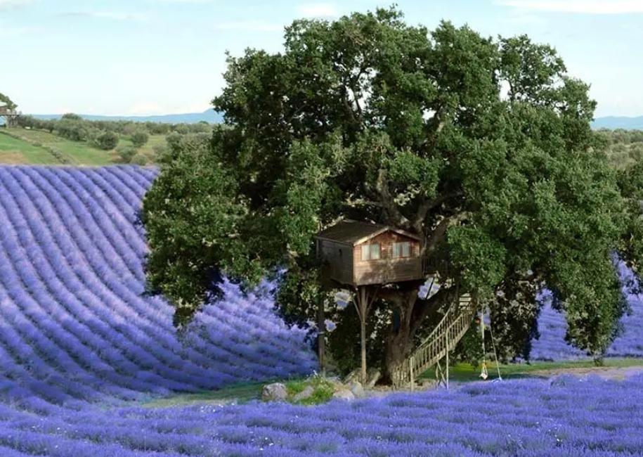 Ce este „Quietcation”, noul concept al vacanţelor de lux 1051984