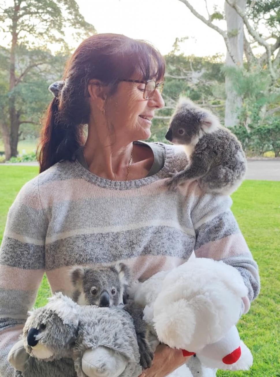 Puii de koala rămași fără mamă strâng în brațe jucării de pluș. Imagini emoționante din Australia, care amintesc de fenomenul Punch 1051965