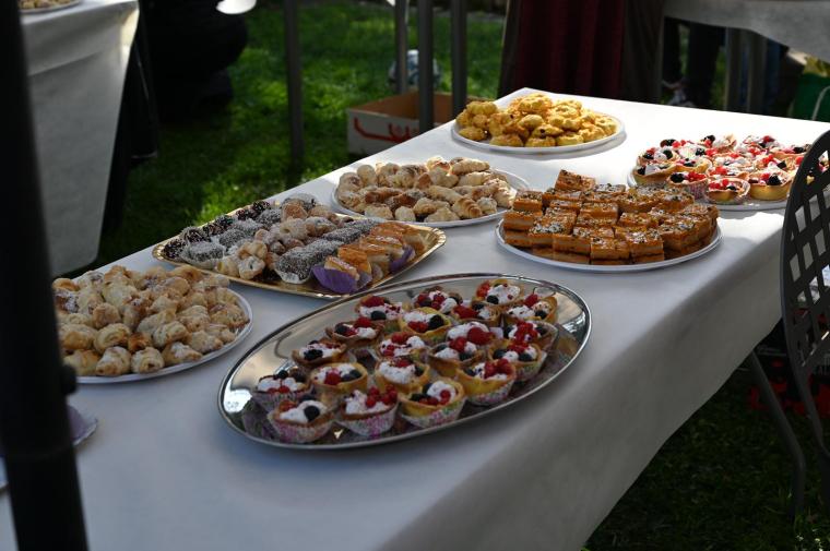 Eveniment caritabil la Roma pentru sprijinul mamelor şi copiilor români care se tratează în spitalele din Italia 1052302