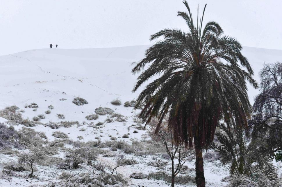 Peisaj SF în Sahara, unde a nins iar zăpada a acoperit dunele de nisip. Localnicii din apropiere s-au dus la derdeluș 1052948