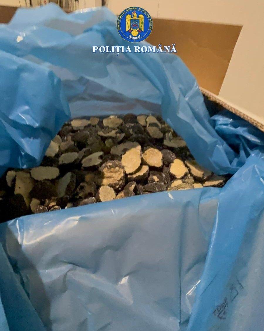 Trufe și fructe de pădure, în centrul unor afaceri ilegale de peste 13 milioane de lei. Care sunt neregulile descoperite 1052820