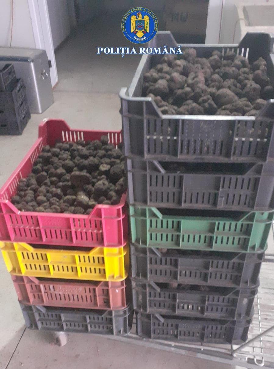 Trufe și fructe de pădure, în centrul unor afaceri ilegale de peste 13 milioane de lei. Care sunt neregulile descoperite 1052821
