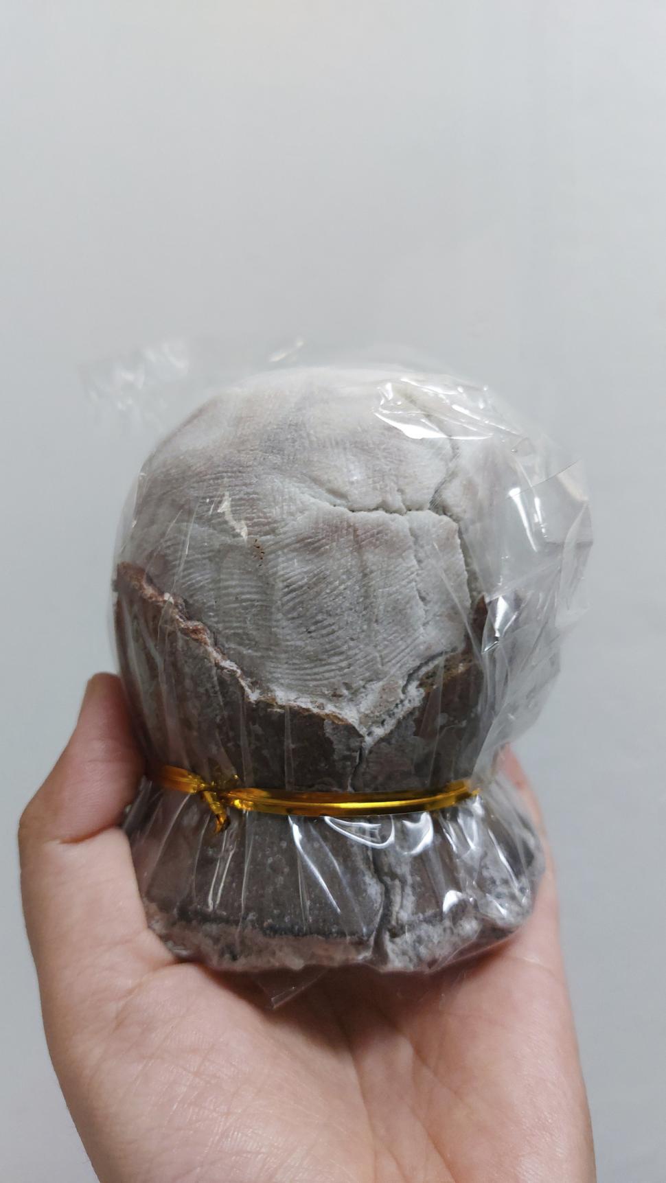 "Oul de dinozaur" revine în centrul atenţiei: Este una dintre cele mai rare săruri de pe Pământ 1053451