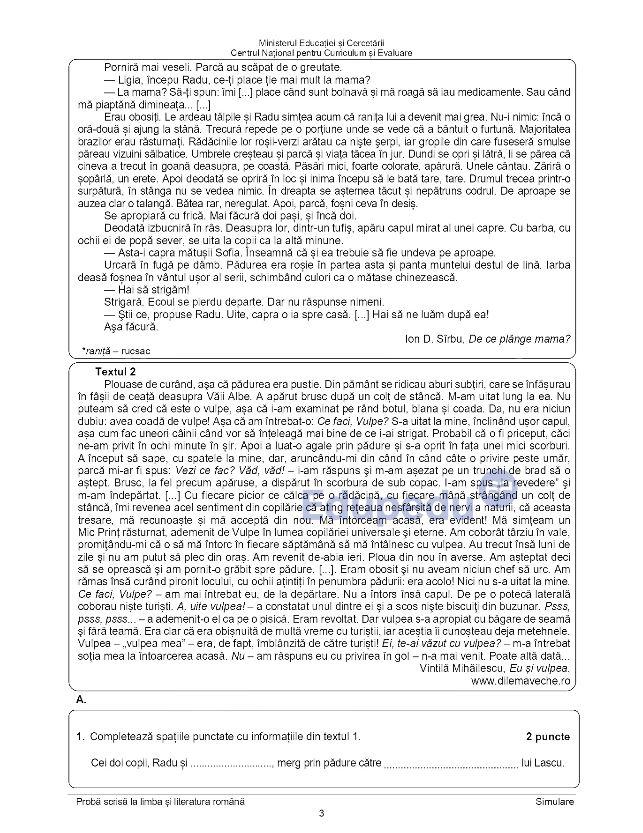 Prima probă din cadrul simulării Evaluării Naționale, boicotată de profesori. Subiectele de la Română primite de elevi 1053828