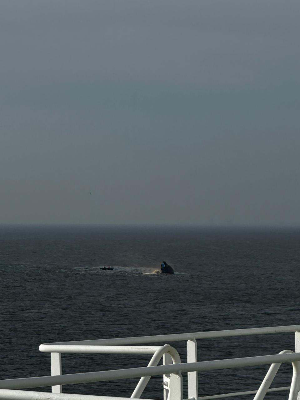 Accident naval grav în Portul Midia: Un remorcher s-a scufundat. Un marinar a murit, alți patru sunt dispăruți 1054301