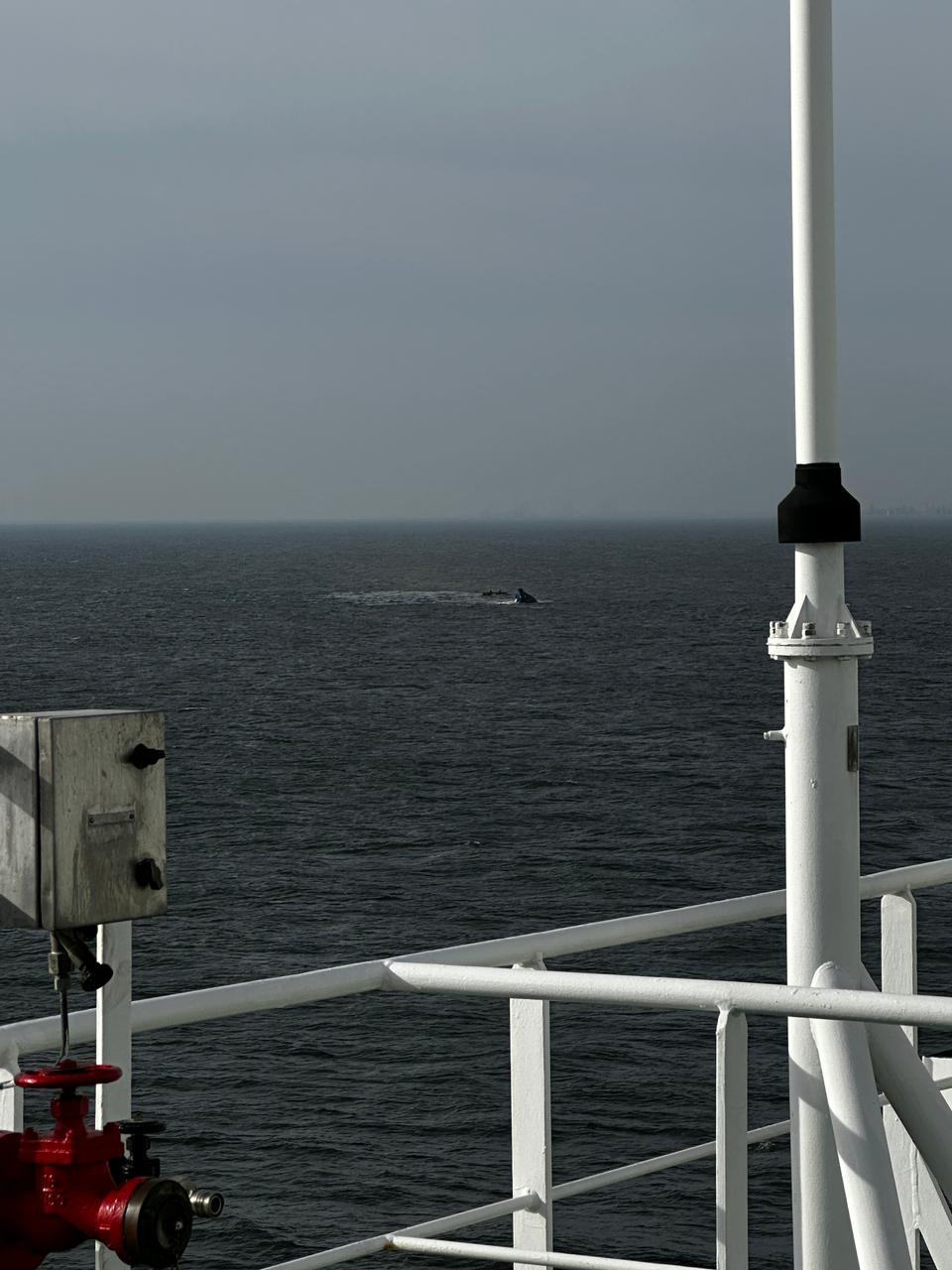 Accident naval grav în Portul Midia: Un remorcher s-a scufundat. Un marinar a murit, alți patru sunt dispăruți 1054303