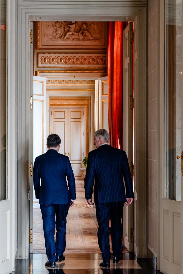 Nicușor Dan a fost primit, la Bruxelles, de Regele Belgiei. Ce au discutat cei doi 1055004