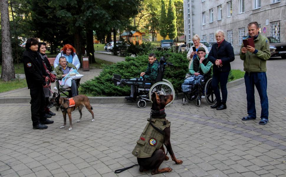 Povestea emoționantă a dobermanului-erou din Ucraina: „Hanna a salvat peste 170 de oameni până în ultima zi de viață” 1054860