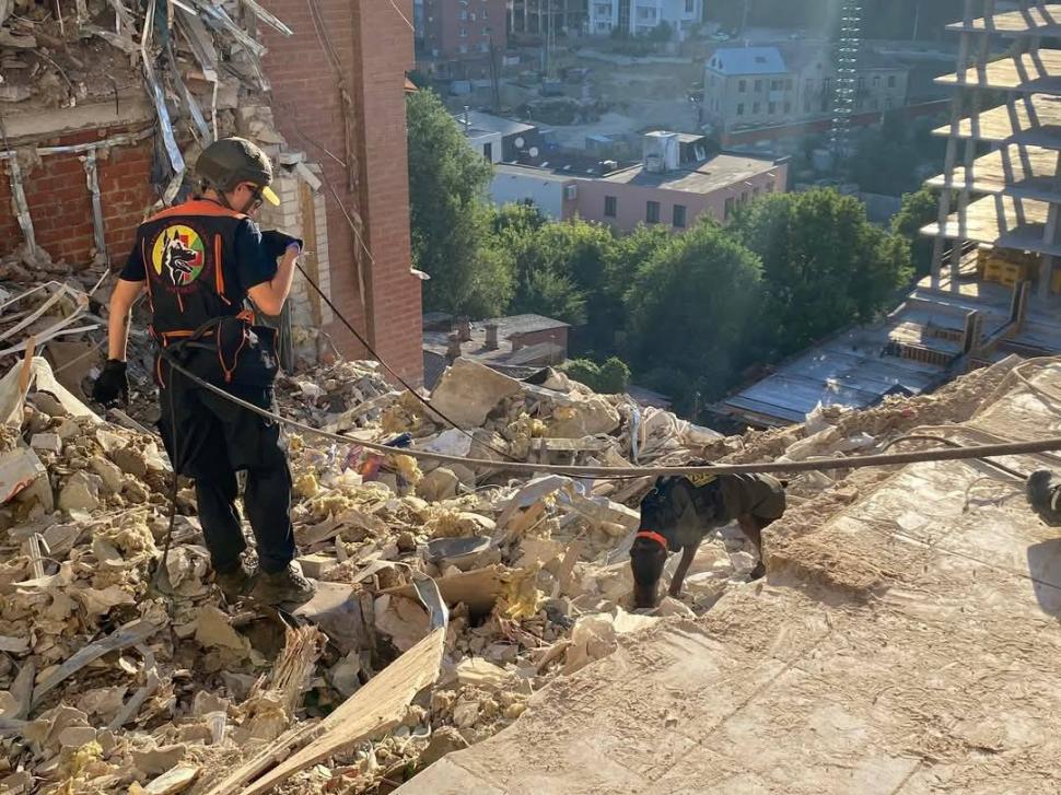 Povestea emoționantă a dobermanului-erou din Ucraina: „Hanna a salvat peste 170 de oameni până în ultima zi de viață” 1054862