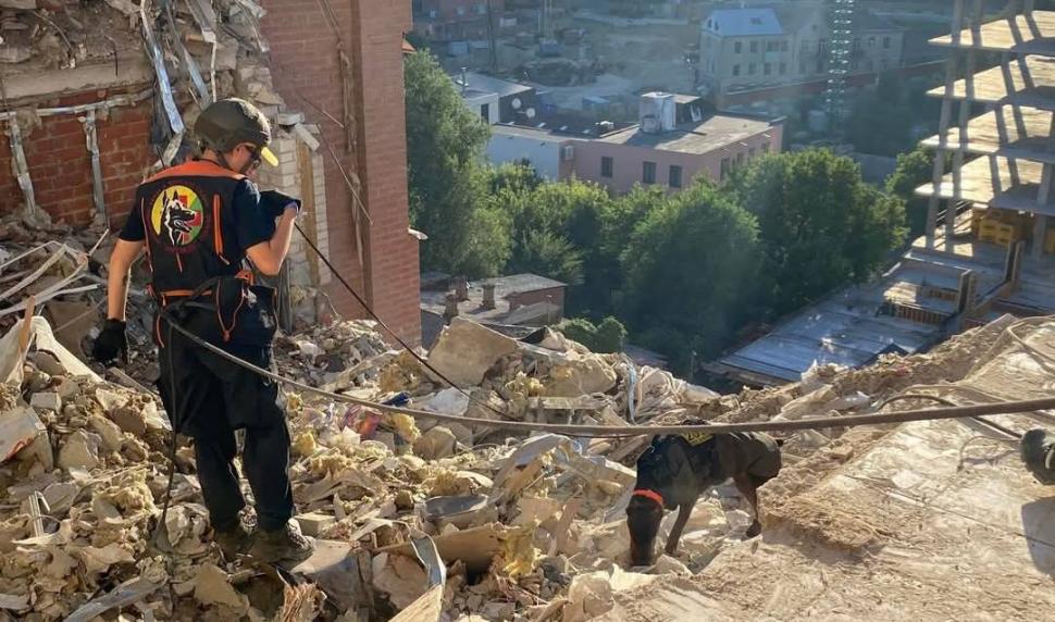 Povestea emoționantă a dobermanului-erou din Ucraina: „Hanna a salvat peste 170 de oameni până în ultima zi de viață” 1054864