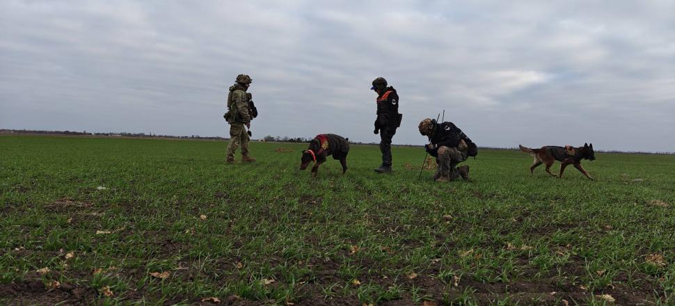 Povestea emoționantă a dobermanului-erou din Ucraina: „Hanna a salvat peste 170 de oameni până în ultima zi de viață” 1054865