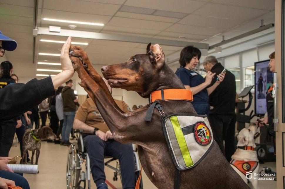 Povestea emoționantă a dobermanului-erou din Ucraina: „Hanna a salvat peste 170 de oameni până în ultima zi de viață” 1054866