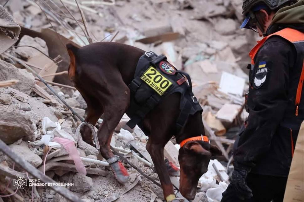 Povestea emoționantă a dobermanului-erou din Ucraina: „Hanna a salvat peste 170 de oameni până în ultima zi de viață” 1054867