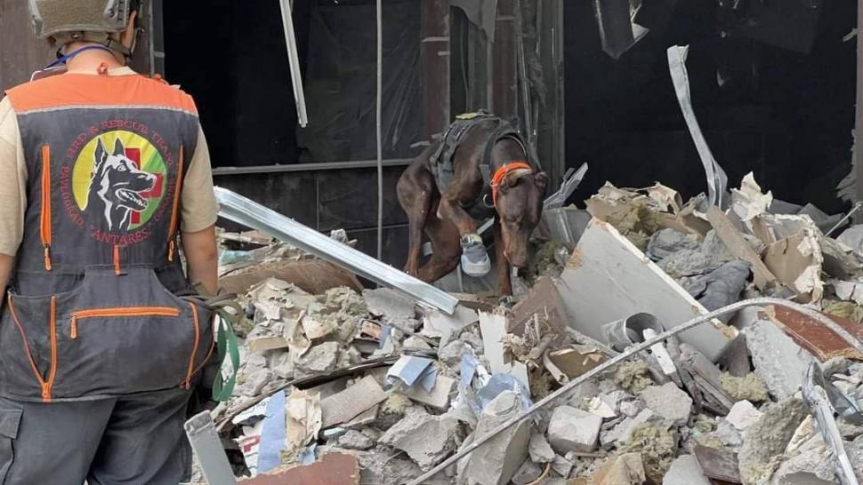 Povestea emoționantă a dobermanului-erou din Ucraina: „Hanna a salvat peste 170 de oameni până în ultima zi de viață” 1054870