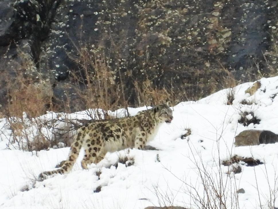 Cum au găsit niște români din Cluj ”sfantul Graal” din munții Pakistanului: S-a aprins ceva, o lampă. Și am știut că trebuie să-i caut 1054793