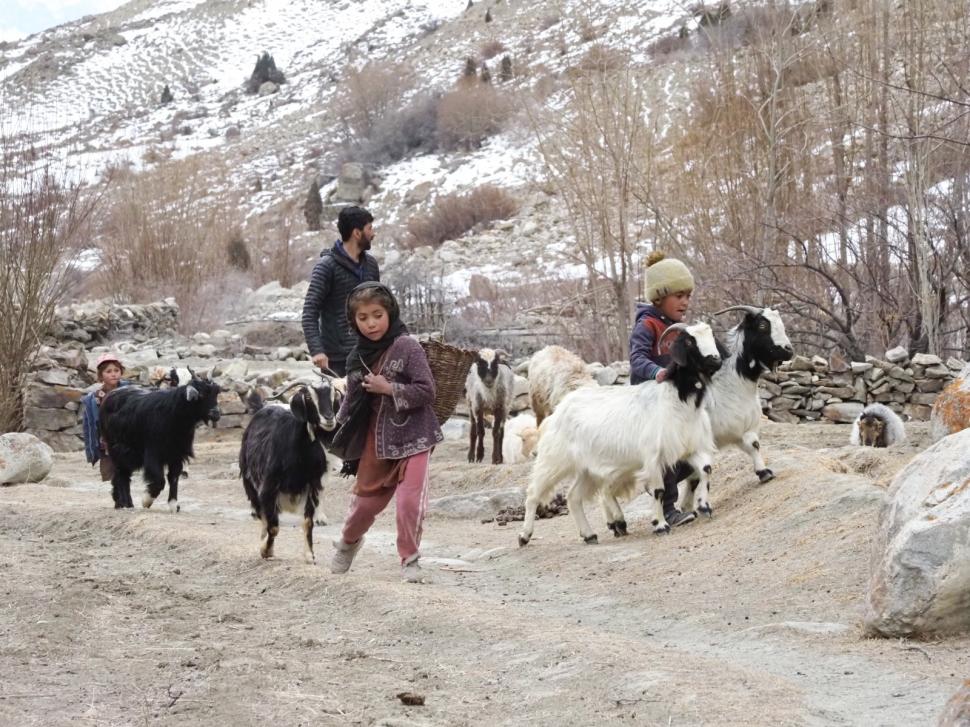 Cum au găsit niște români din Cluj ”sfantul Graal” din munții Pakistanului: S-a aprins ceva, o lampă. Și am știut că trebuie să-i caut 1054806