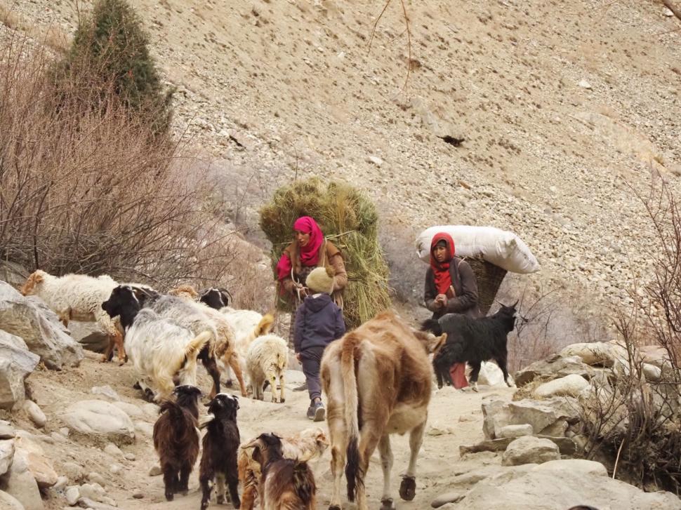 Cum au găsit niște români din Cluj ”sfantul Graal” din munții Pakistanului: S-a aprins ceva, o lampă. Și am știut că trebuie să-i caut 1054809