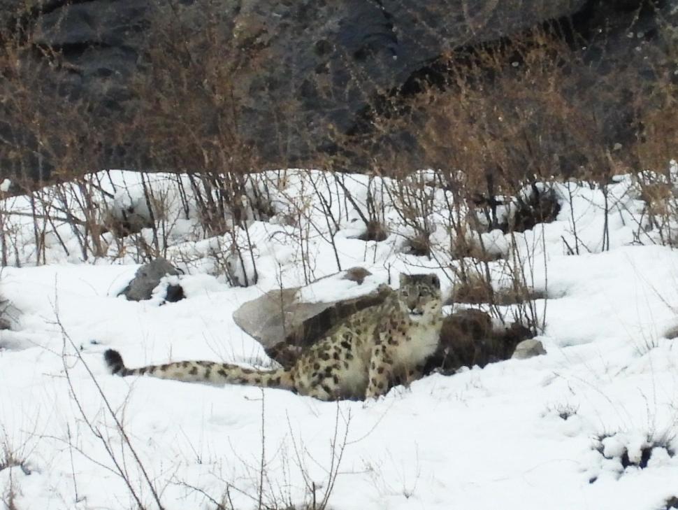 Cum au găsit niște români din Cluj ”sfantul Graal” din munții Pakistanului: S-a aprins ceva, o lampă. Și am știut că trebuie să-i caut 1054840