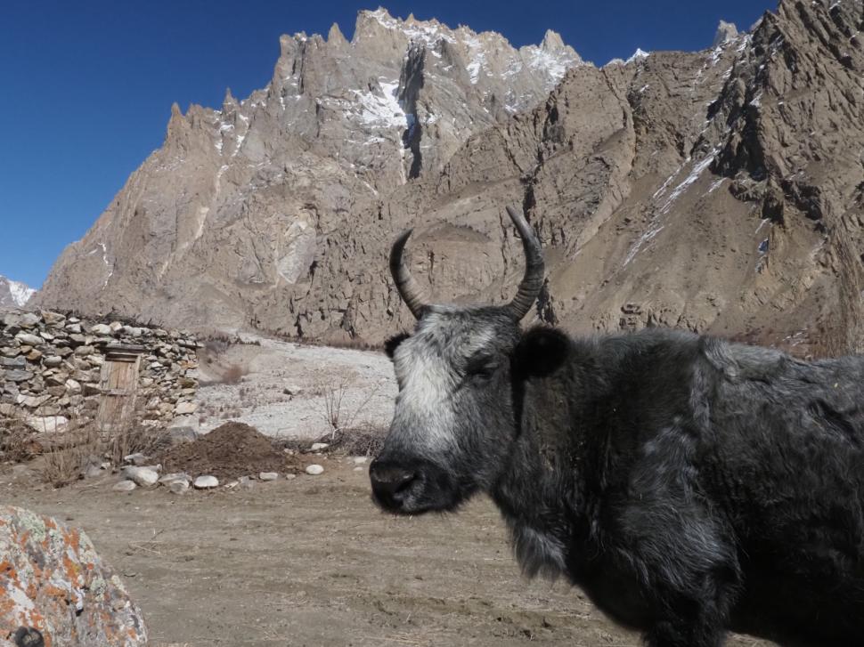 Cum au găsit niște români din Cluj ”sfantul Graal” din munții Pakistanului: S-a aprins ceva, o lampă. Și am știut că trebuie să-i caut 1054846