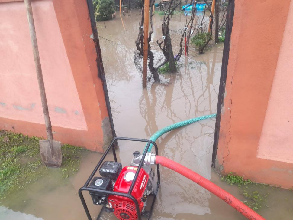 Dezastru în Teleorman după codul galben de vânt și ploi: solarii distruse și locuințe inundate 1056736