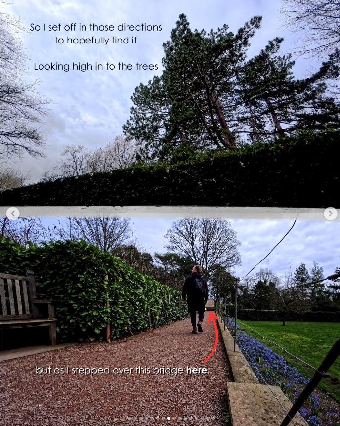 Un bărbat a mers într-o pădure din Marea Britanie pentru observarea păsărilor şi a găsit ceva "ce nu ar trebui să fie acolo" 1056411