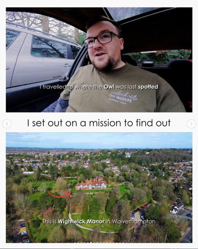 Un bărbat a mers într-o pădure din Marea Britanie pentru observarea păsărilor şi a găsit ceva "ce nu ar trebui să fie acolo" 1056413
