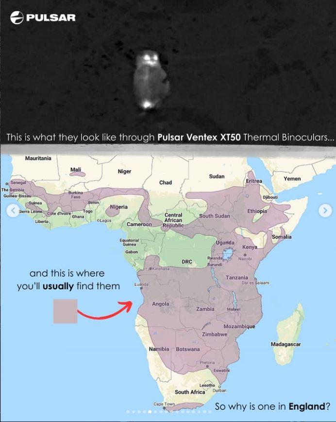 Un bărbat a mers într-o pădure din Marea Britanie pentru observarea păsărilor şi a găsit ceva "ce nu ar trebui să fie acolo" 1056414