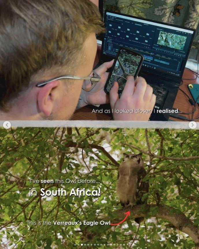 Un bărbat a mers într-o pădure din Marea Britanie pentru observarea păsărilor şi a găsit ceva "ce nu ar trebui să fie acolo" 1056416