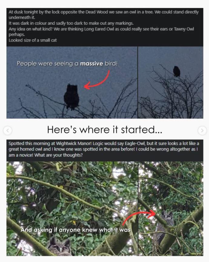 Un bărbat a mers într-o pădure din Marea Britanie pentru observarea păsărilor şi a găsit ceva "ce nu ar trebui să fie acolo" 1056417