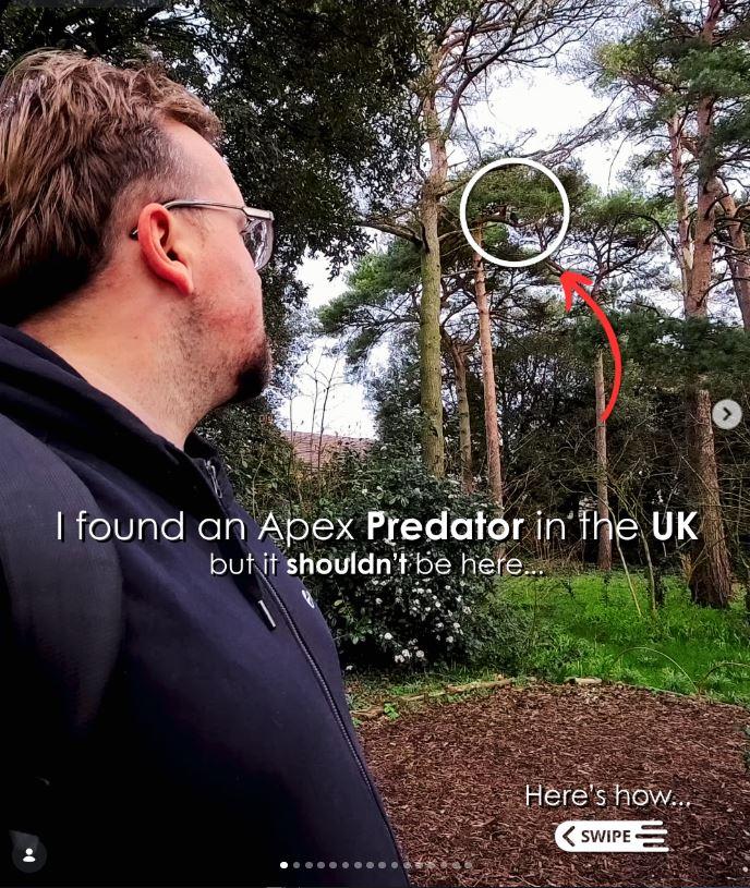 Un bărbat a mers într-o pădure din Marea Britanie pentru observarea păsărilor şi a găsit ceva "ce nu ar trebui să fie acolo" 1056418