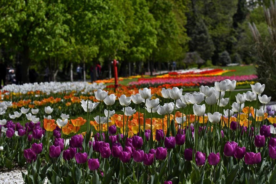 Se deschide Târgul de Paște 2026 de la Craiova. Imagini de poveste cu Parcul „Nicolae Romanescu”, în care va avea loc 1057106