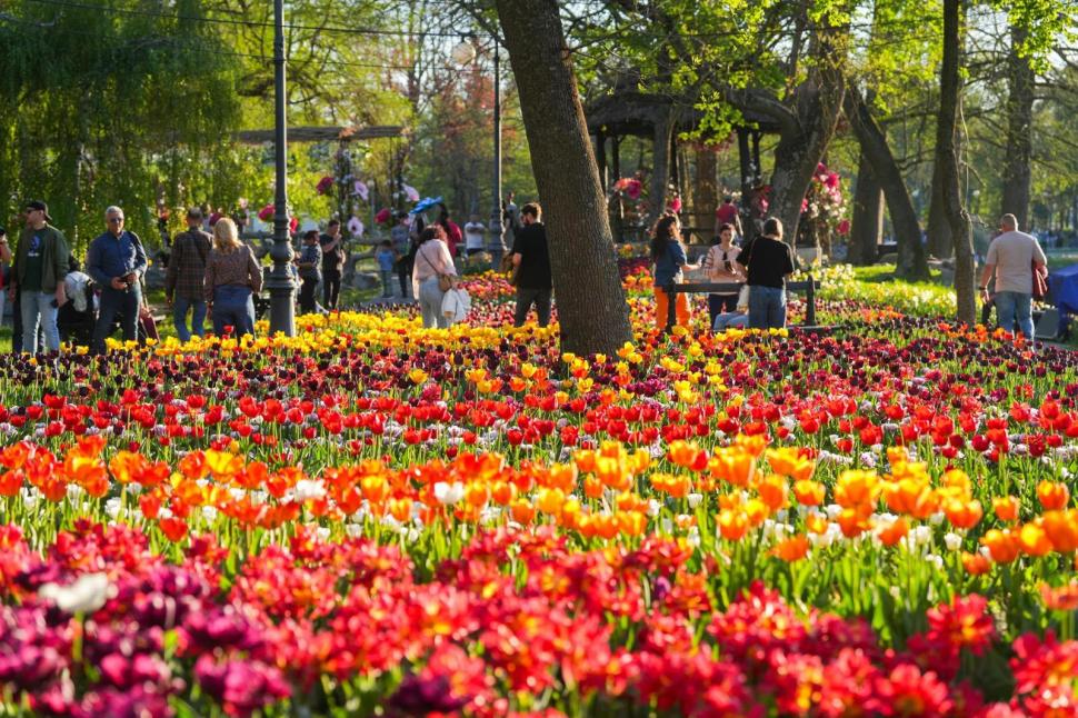 Se deschide Târgul de Paște 2026 de la Craiova. Imagini de poveste cu Parcul „Nicolae Romanescu”, în care va avea loc 1057113
